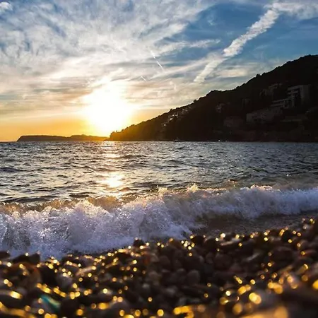 Magnolia Dubrovnik
