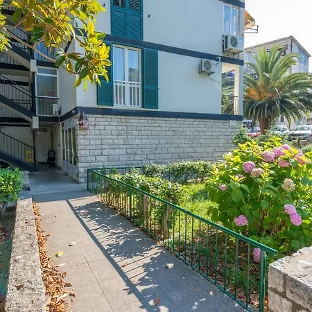 Magnolia * 杜布罗夫尼克